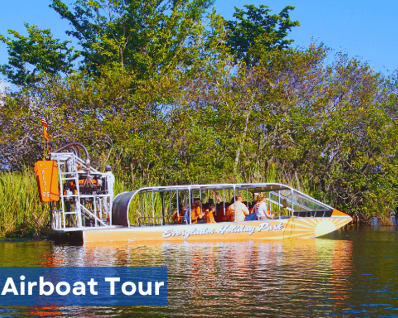 Private Half-Day Everglades Airboat & Big Cypress Tour