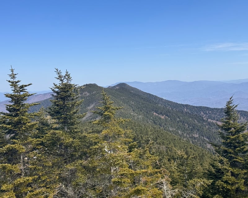 Mount Mitchell State Park 5-Hour Guided Tour