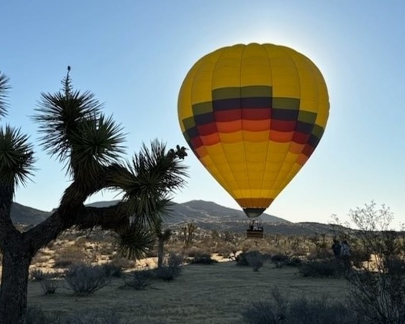 Shared Sunrise Hot Air Balloon Ride in Yucca Valley