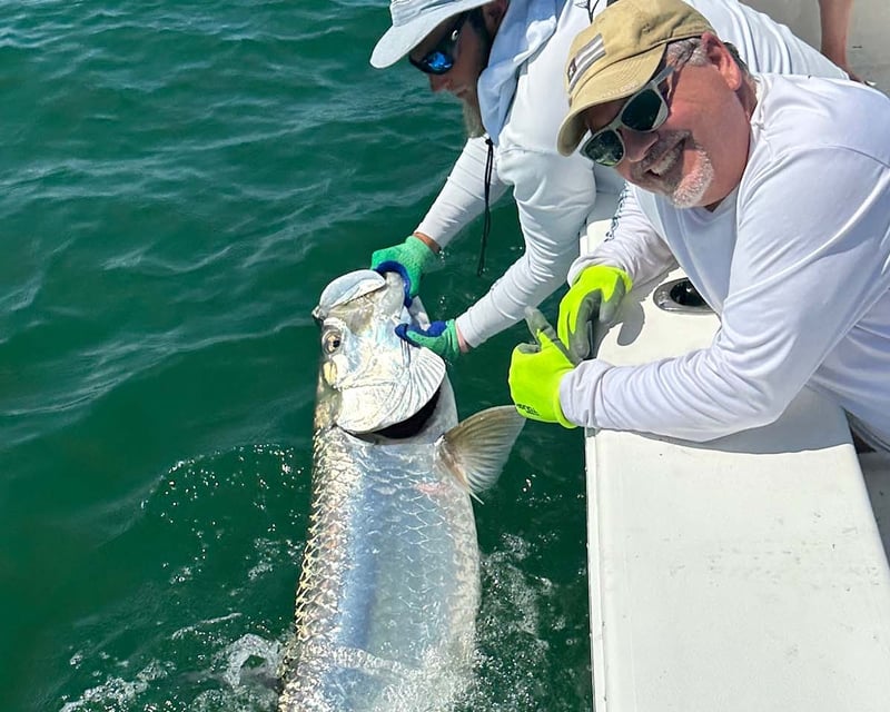 Private Tarpon Fishing Charter in St. Petersburg