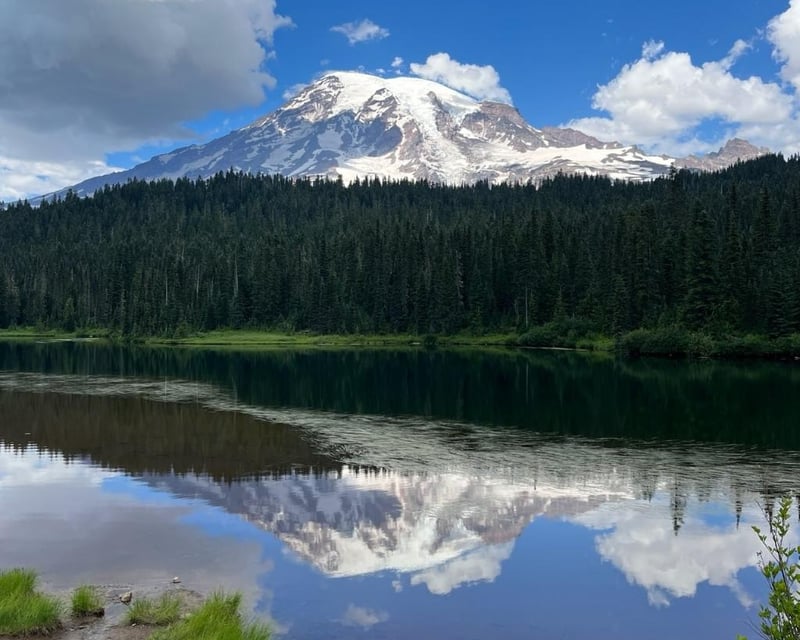 Mount Rainier National Park 12-Hour Guided Tour