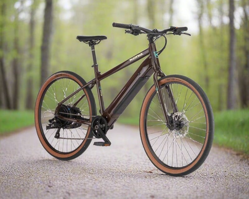 Electric Bike Rental in Port Gamble