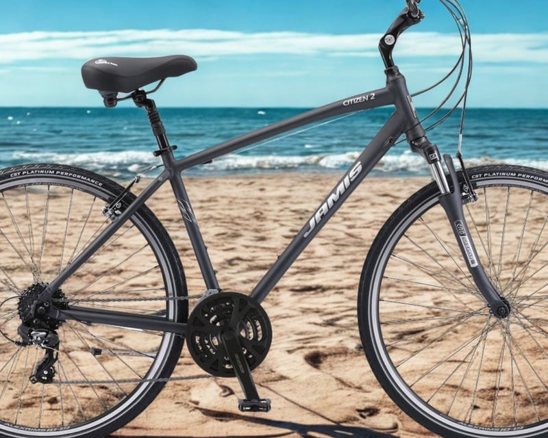 Full-Day Bike & Tandem Rental in Petoskey