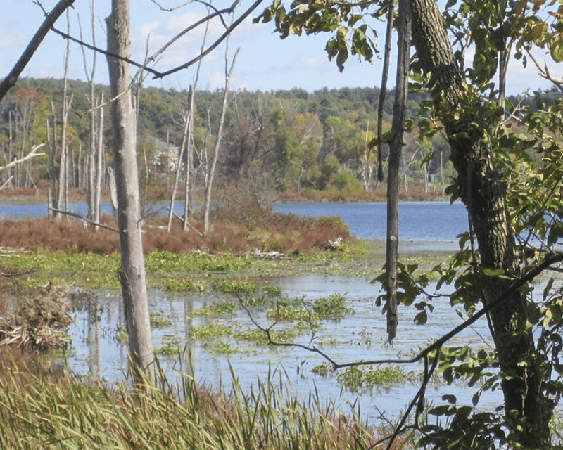 2-Kayak Rental on Round Lake in Malta, NY