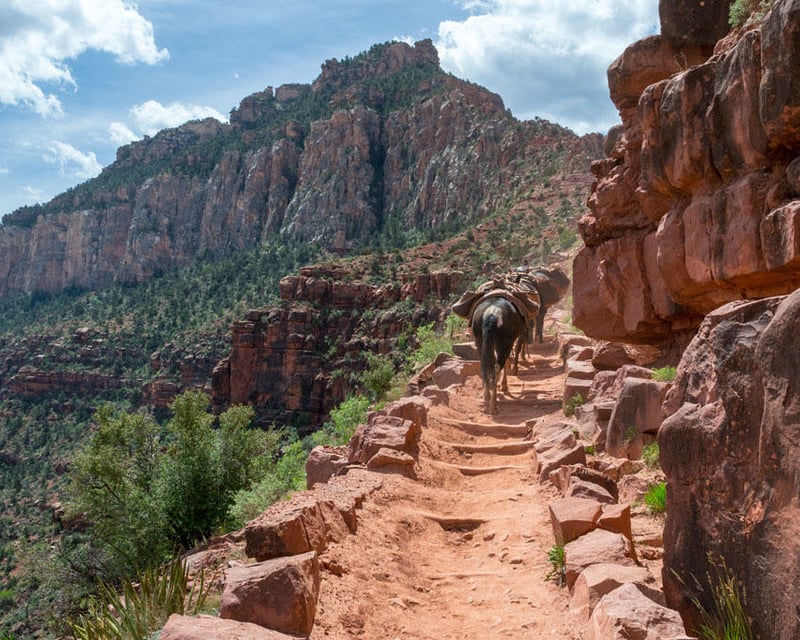 Private Guided Below-the-Rim Day Hike in Grand Canyon
