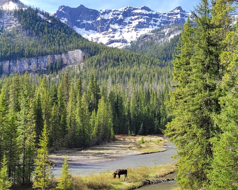 Grand Teton National Park Private Tour From West