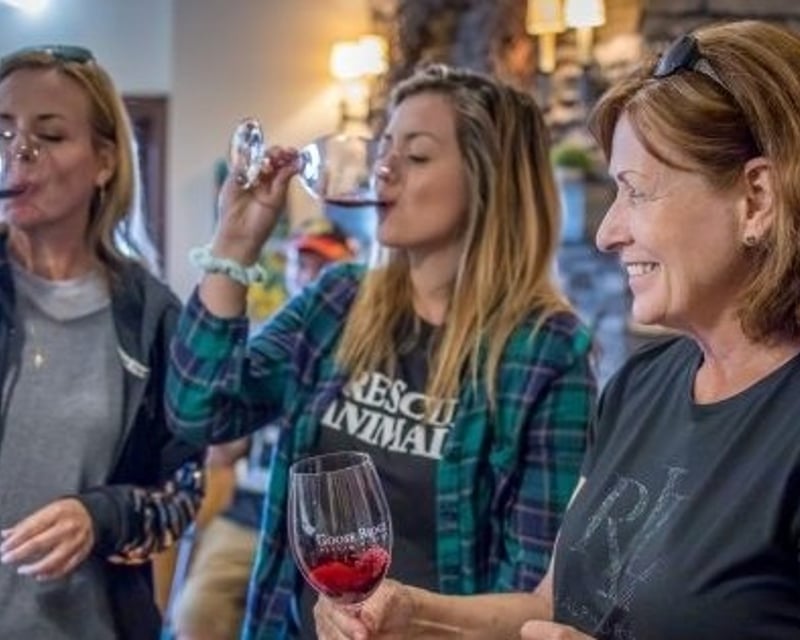 Woodinville Wine Tour & Snoqualmie Falls from Seattle