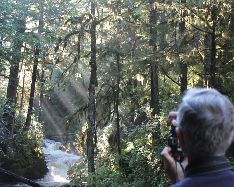 Private Tongass Rainforest Walk in Ketchikan