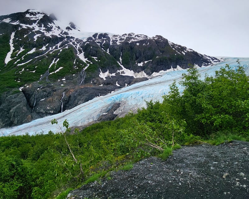 Exit Glacier 2.6-Mile Guided Hike