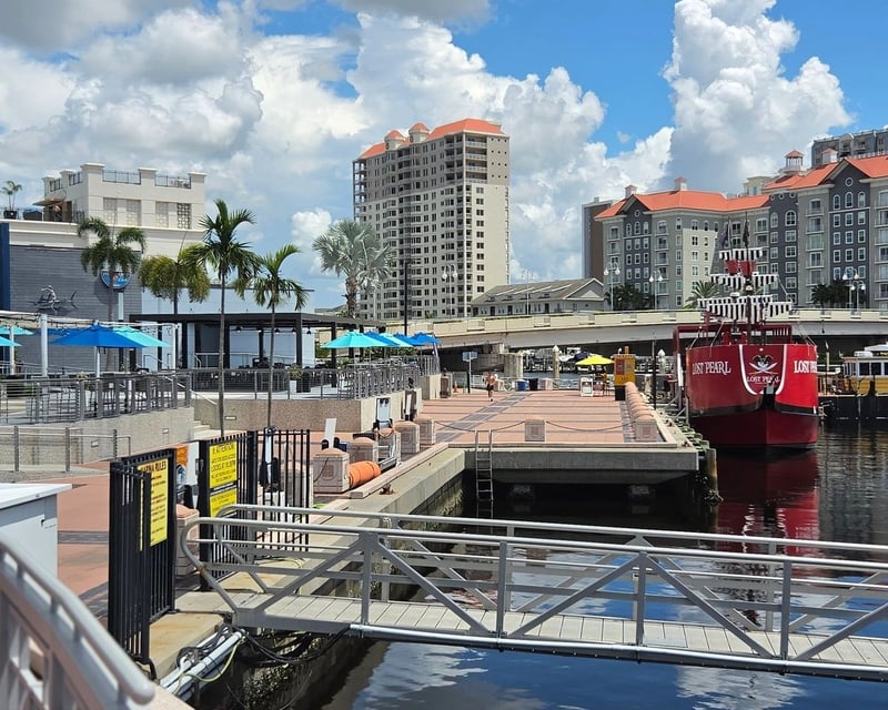 Guided Tampa E-Bike Tour from Armature Works