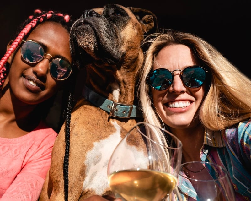 3-Winery Wine Tasting Tour from Tucson