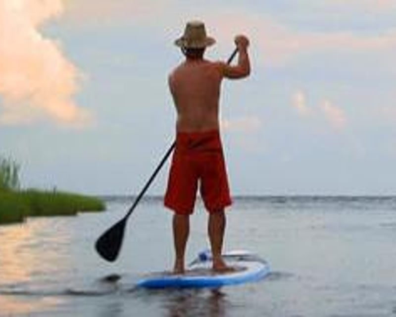 2-Hour Paddleboard Tour at Pine Island Audubon Sanctuary