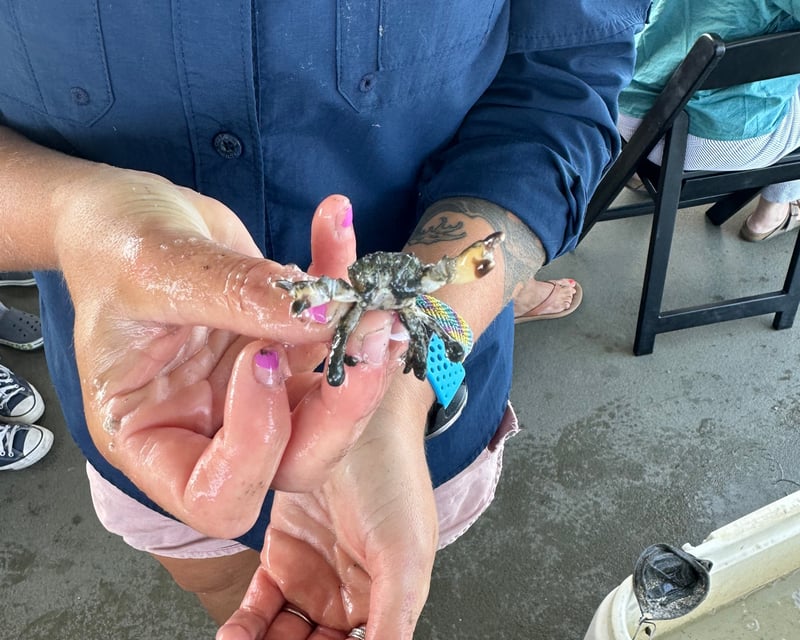 Lewes Junior Naturalist Cruise