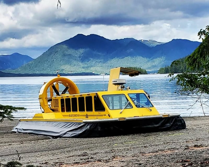 Fly to Secluded Beaches & Spot Alaska Wildlife