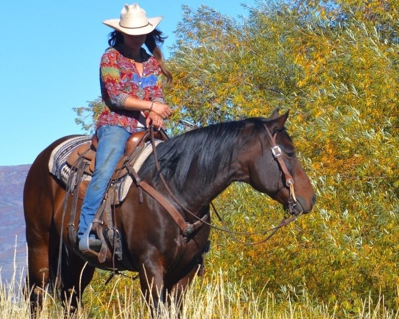 Elk Meadows Private Horseback Ride