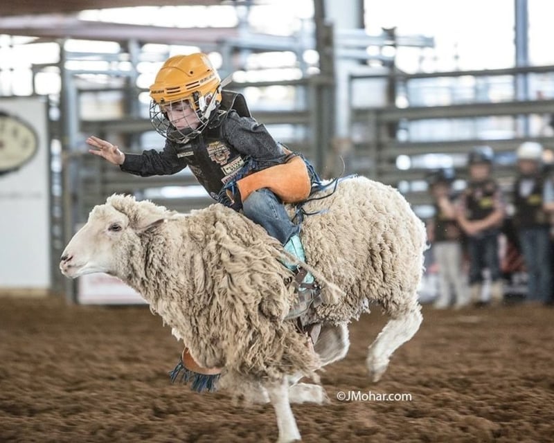 Mutton Bustin' Ride in Bulverde