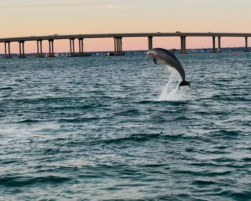 Destin 22' Pontoon Cruise