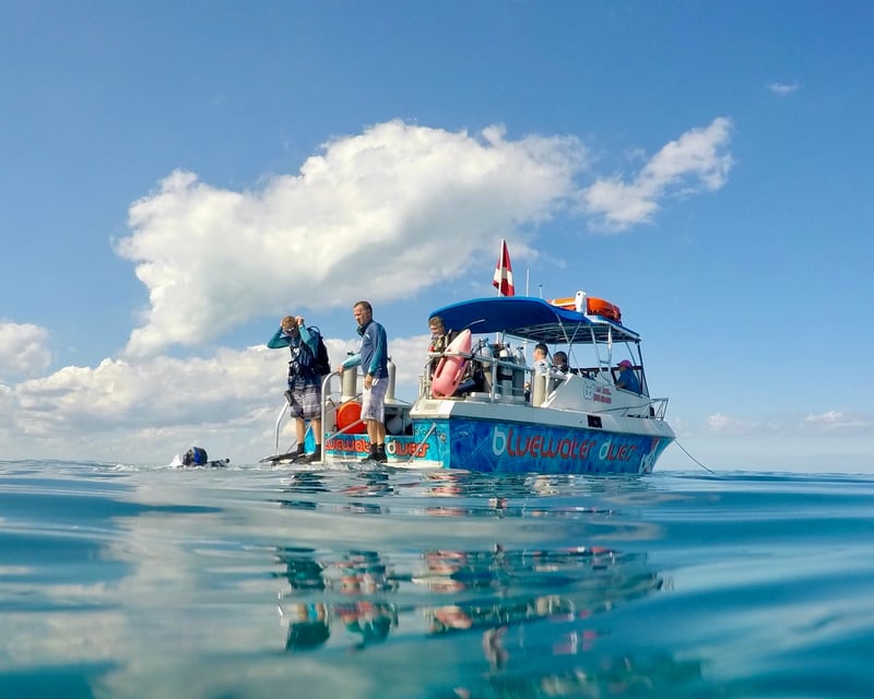 Key Largo 2-Tank Reef & Wreck Scuba & Snorkel Trip