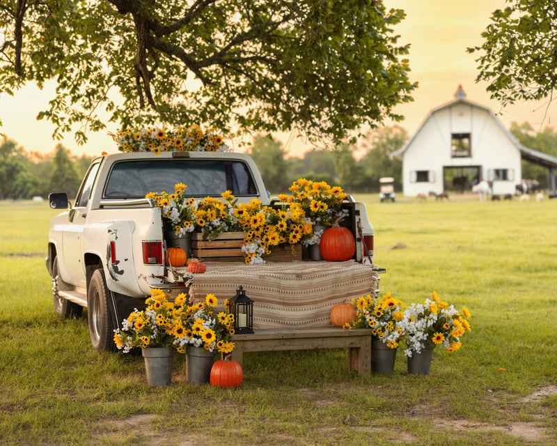 Seasonal Truck Photo Session in Tomball