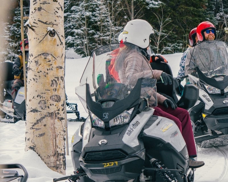 2-Hour Snowmobile Tour in Leadville