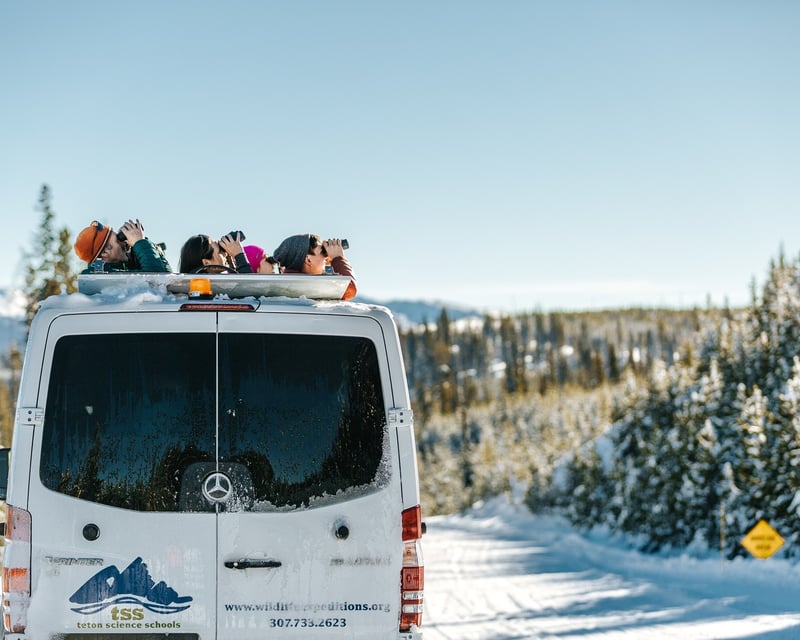 Private Winter Family Wildlife Tour in Grand Teton