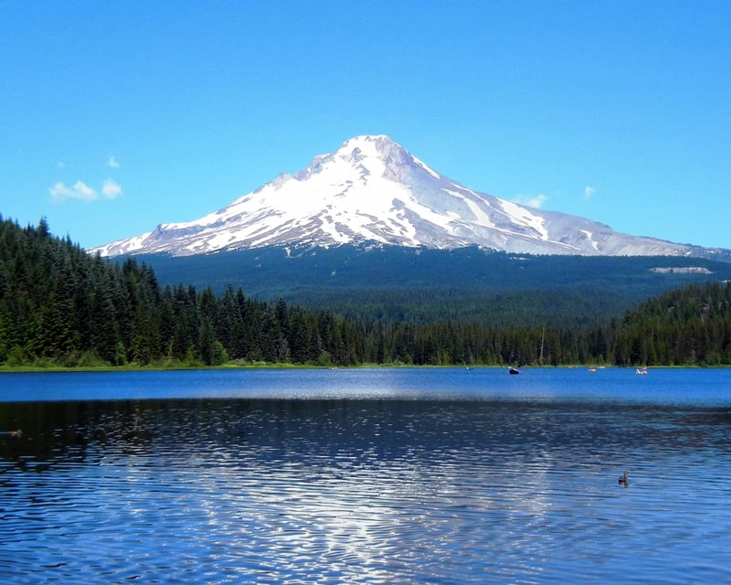 Full-Day Columbia River Gorge Waterfalls & Mt. Hood Tour
