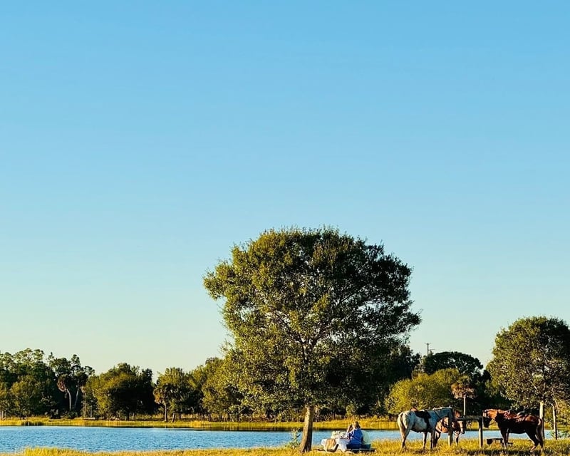 Horseback Ride & Ranch Dinner or Brunch in North Fort Myers