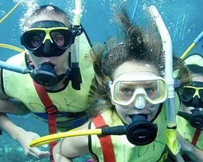3-Hour Snorkel & Dive Trip in Marathon