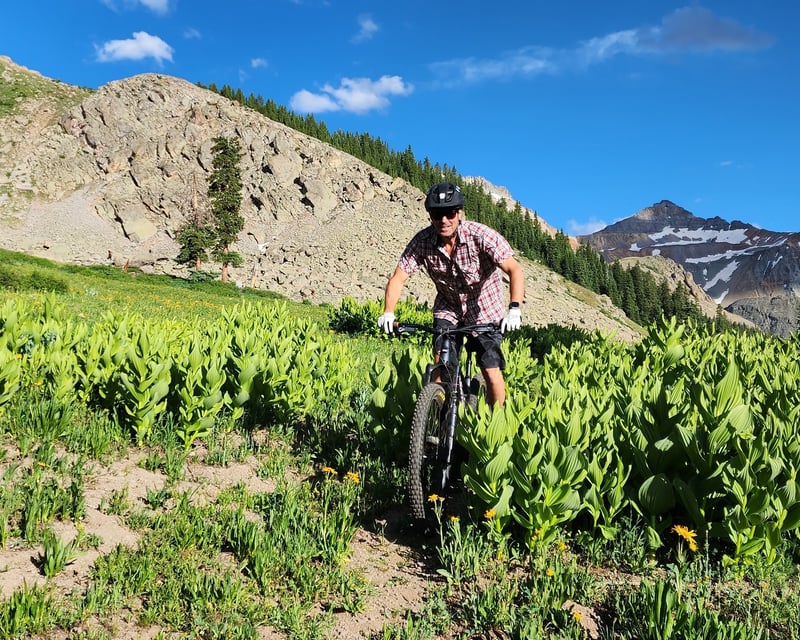 Private Full-Day E-Bike Tour in Telluride