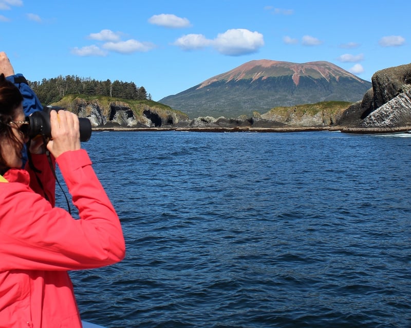Wildlife Photography Charter in Sitka