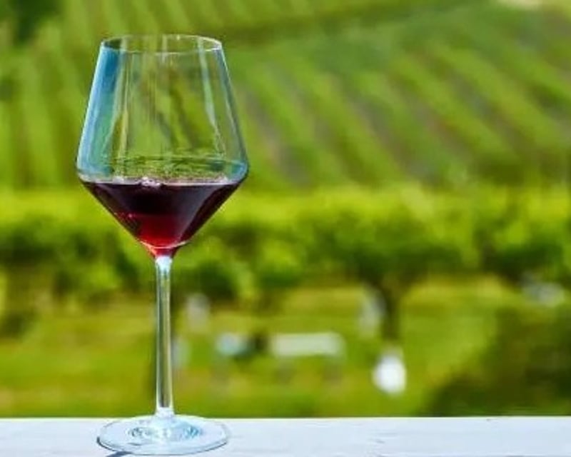 6-Hour Wine Country Tour From San Francisco