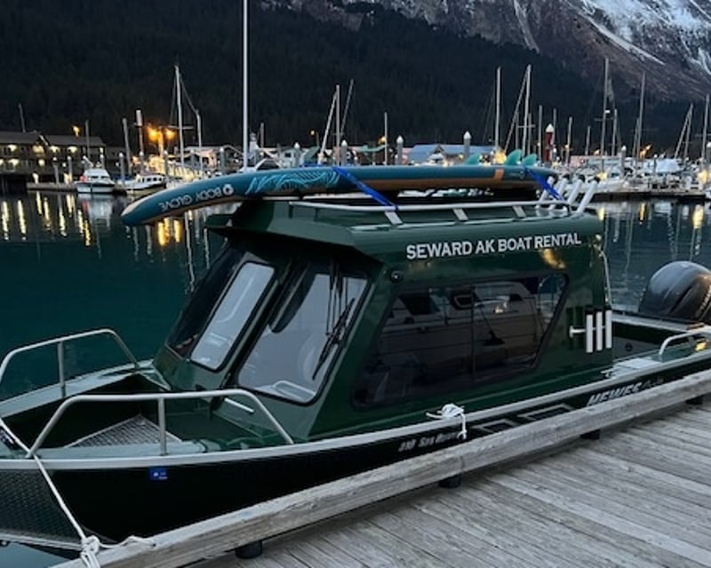 4-Hour Resurrection Bay Charter