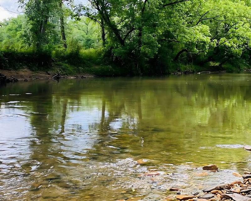 Self-Guided 6.3-Mile River Kayak & Canoe Trip in Ferguson