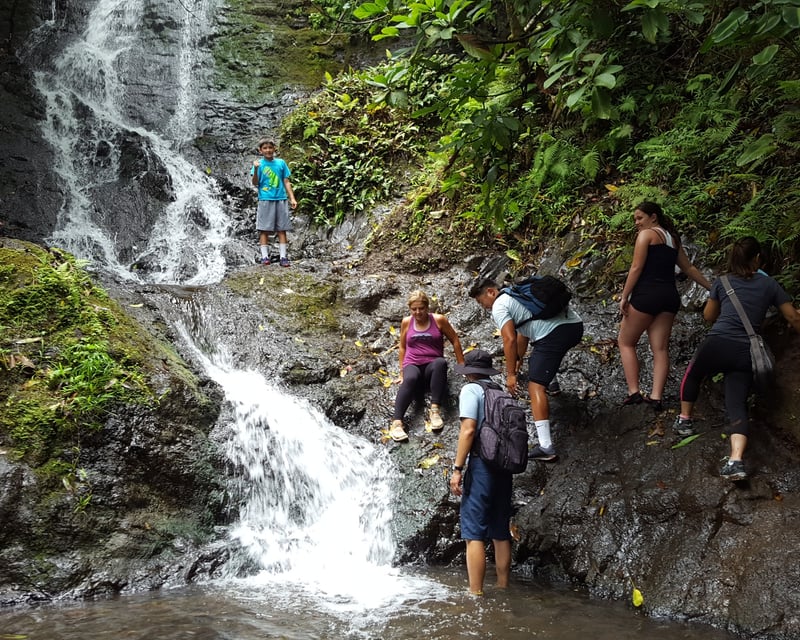 Guided Ko’olau Waterfall Hike on Oahu