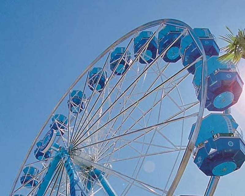Downtown Aquarium Houston Ticket with Rides & Stingray Reef