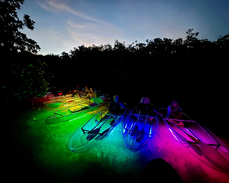 Key West Guided Night Kayak Tour
