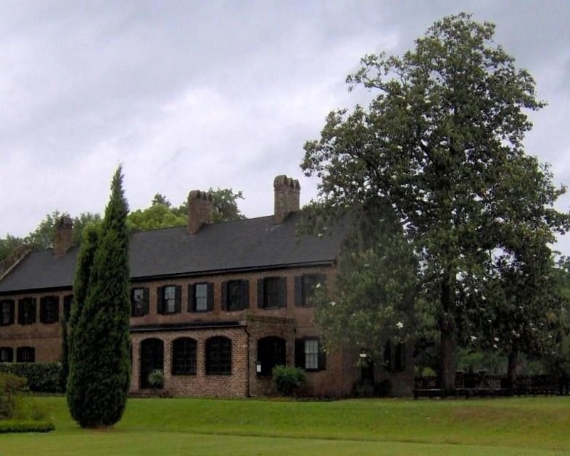 Private Charleston Tea Plantation & Angel Oak Tour