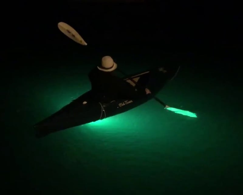 Christmas Lights Twilight Kayak Tour in Galveston