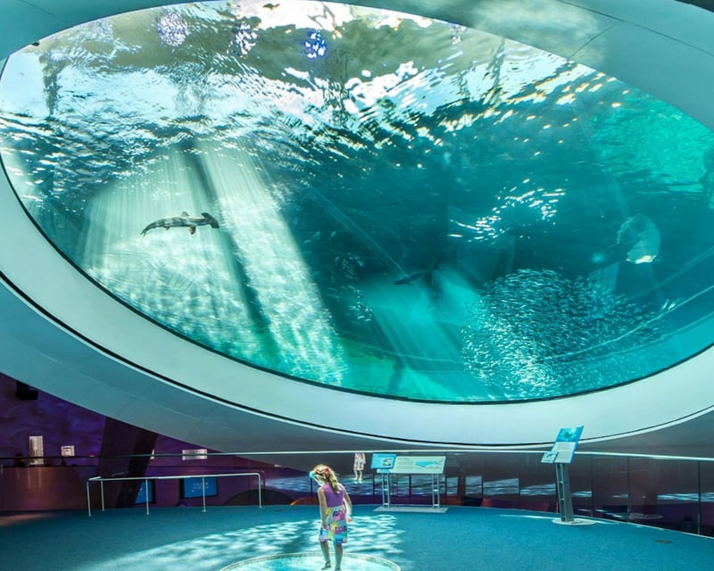 Frost Museum of Science & Aquarium Ticket in Miami