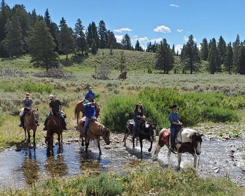 Private Full-Day Horseback Ride in Yellowstone National Park