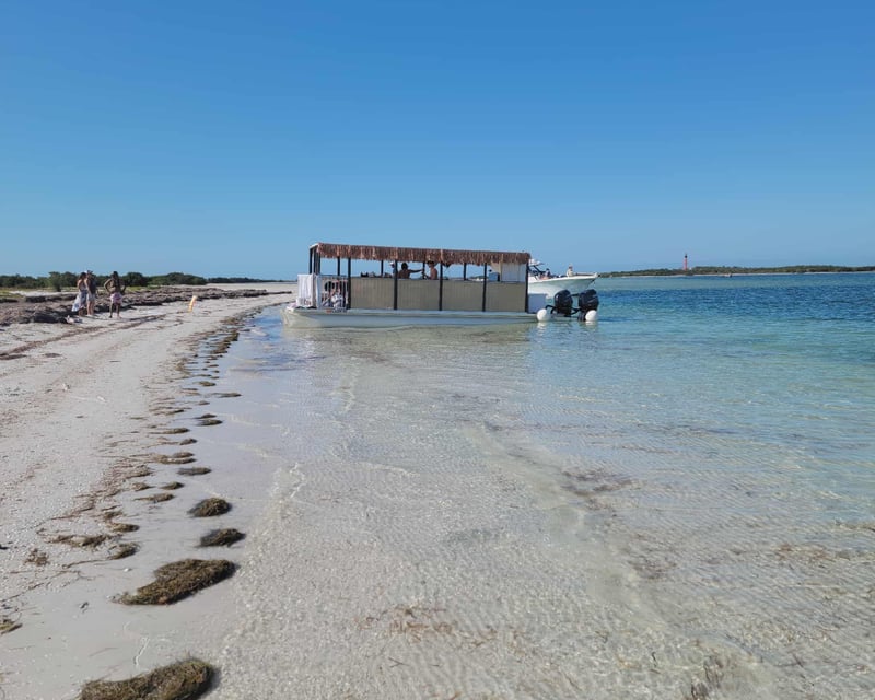 6-Hour Fishing Charter in Tarpon Springs