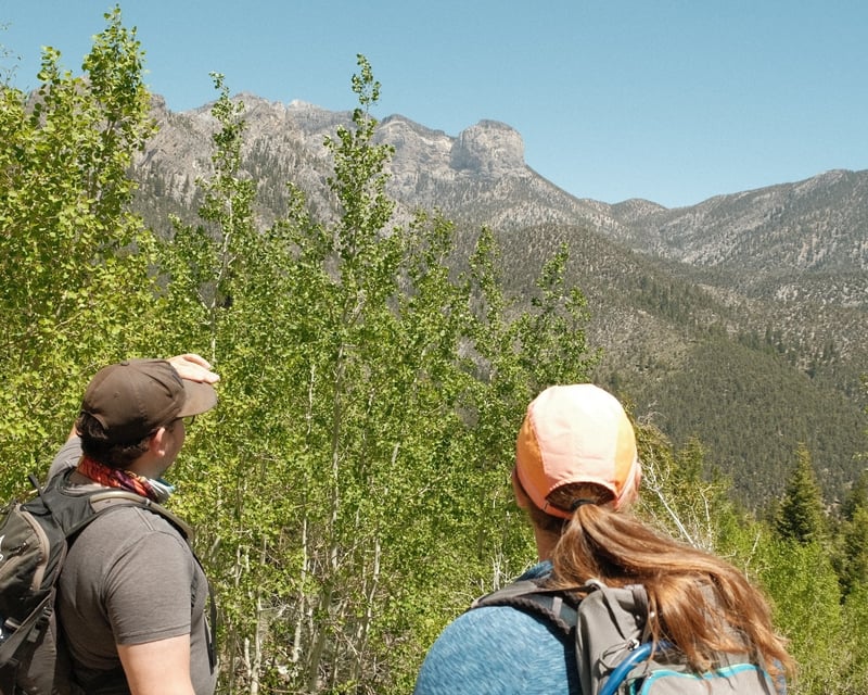 Morning Guided Hiking Tour from Las Vegas