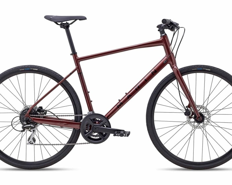 Full-Day Hybrid Bike Rental in the Bronx
