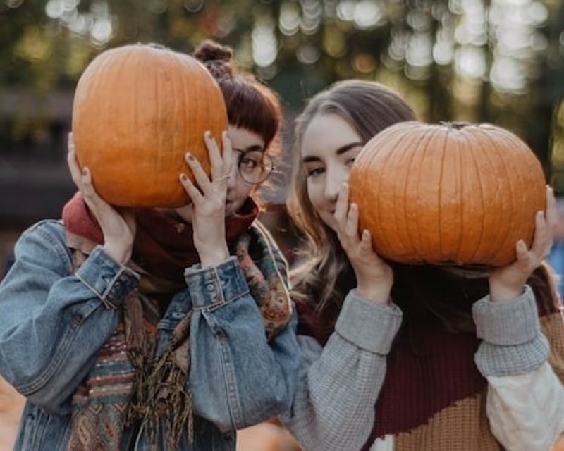 Weekend Fall Farm Corn Maze & Hayride in Waukegan