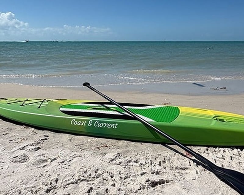 Stand-Up Paddleboard Rental in Naples