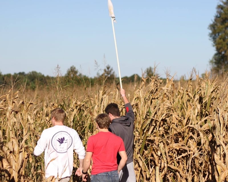 Corn Maze & Pumpkin Patch Fall Festival in Siler City
