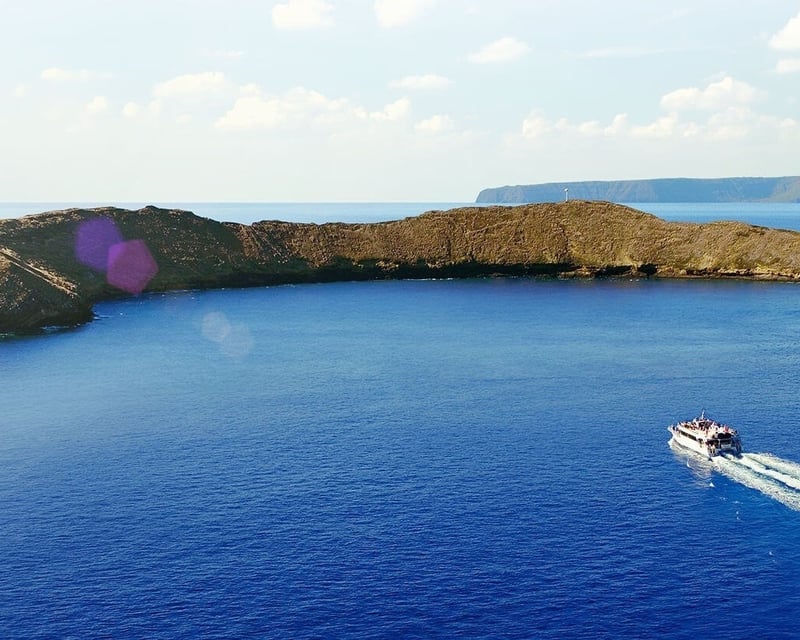 Molokini & Turtle Town Snorkel Cruise
