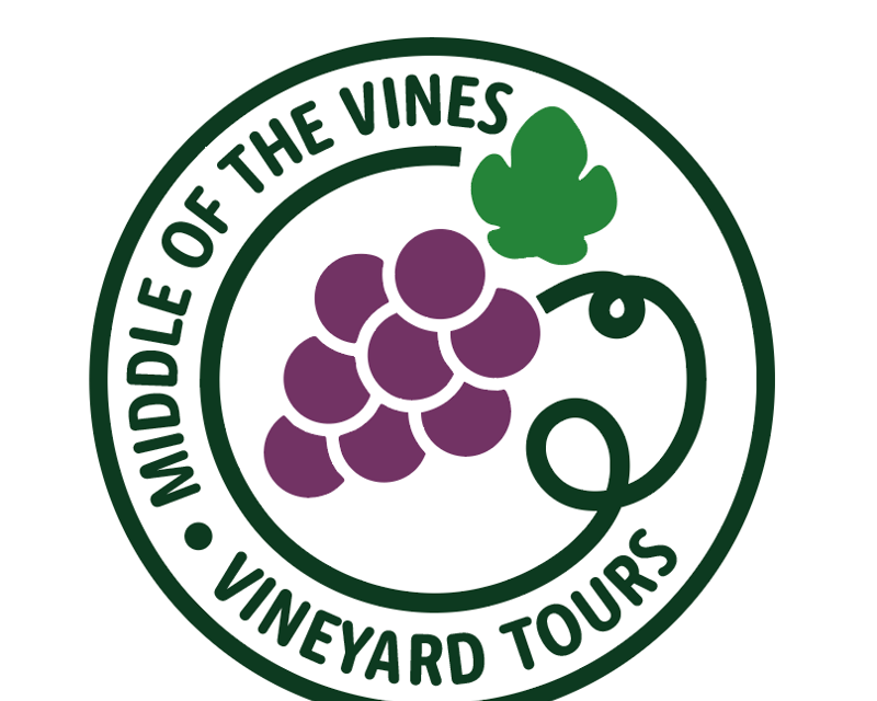 Small-Group Vineyard Wine Tasting Tour from Mystic
