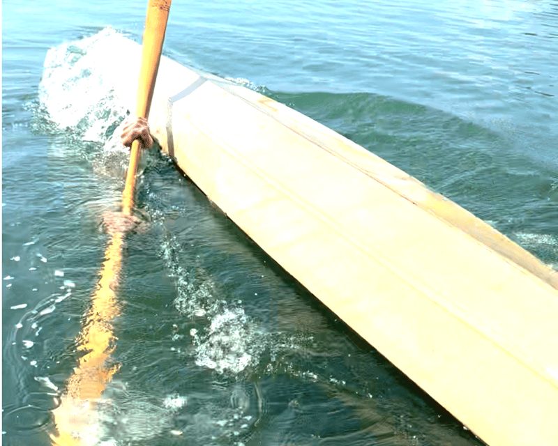Oak Bluffs 1.5-Hour Private Kayak Lesson