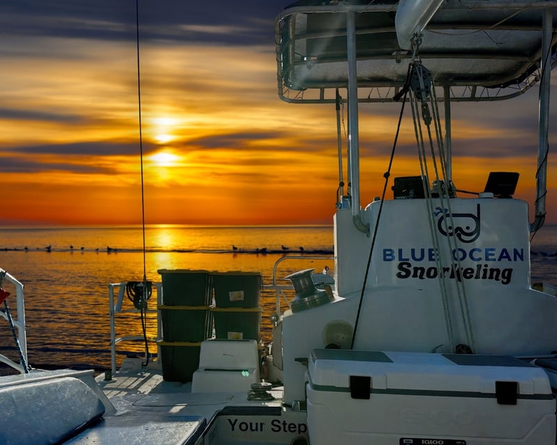 Sunset Snorkeling Cruise at Turtle Canyon